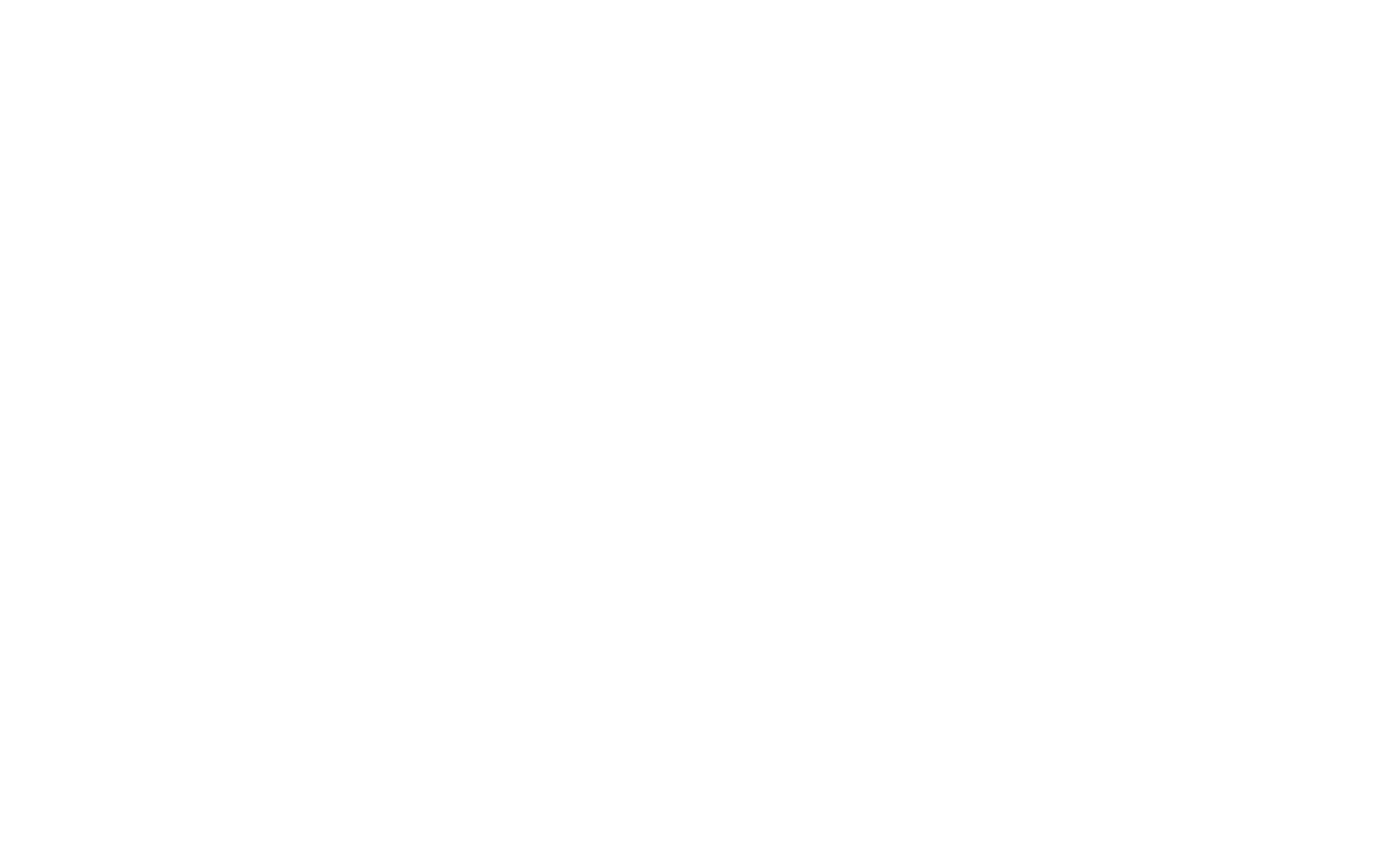 Carega